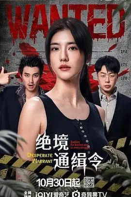 《绝境通缉令》影评：正义与生存的边缘，一场人性的终极考验！