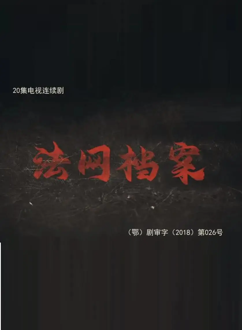 《法网档案》：真相迷雾下的正义之光，揭秘刑侦背后的残酷与温情